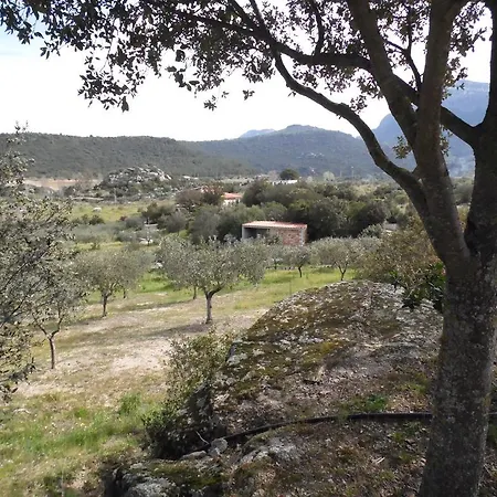 Σπίτι διακοπών Casa Poderi Degli Ulivi