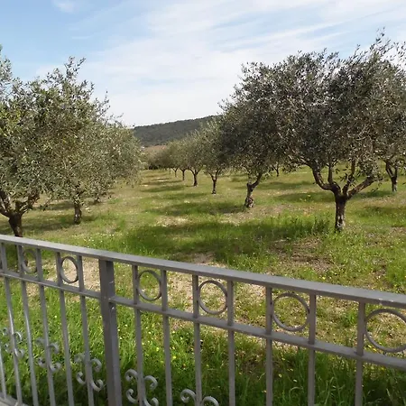 Casa Poderi Degli Ulivi Σπίτι διακοπών